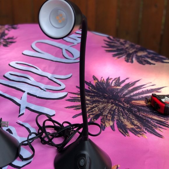 Lap - Picture 12 of 12